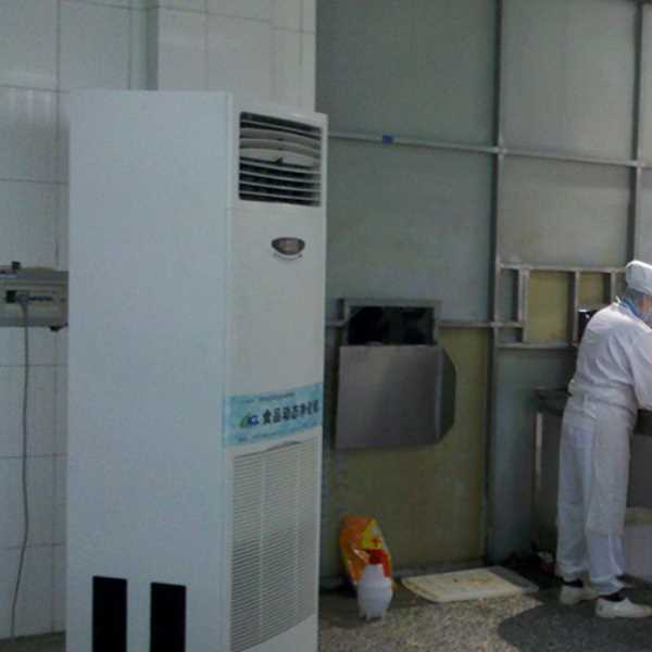 雅安食品正负离子空气杀菌器