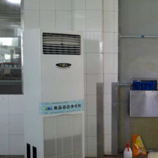 雅安食品智能空气杀菌器